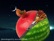  علیرضا گلپایگانی