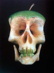 حمید آقاربیع