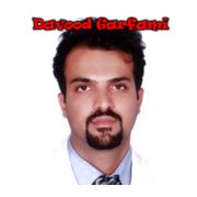 سید داود سیدی گرفمی