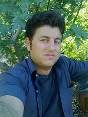 علي مستفيضي